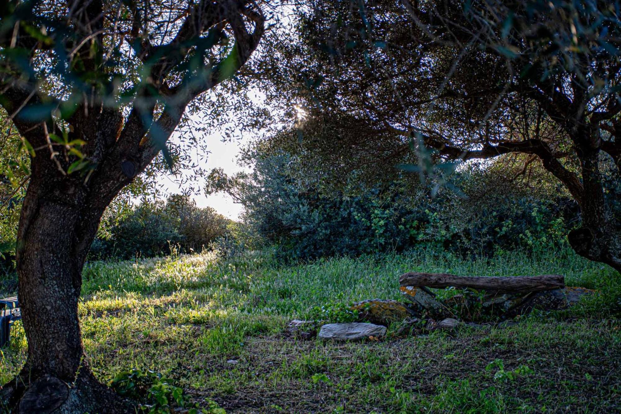 Bed & Breakfast Rena Majore Country Lampianu